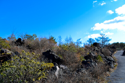 鬼押出し園17