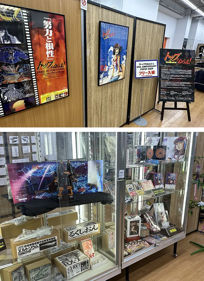 展示内容