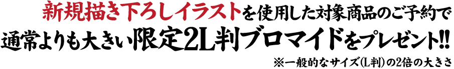 新規描き下ろしを使用した対象商品のご予約で通常よりも大きい限定『2L判ブロマイド』をプレゼント!!